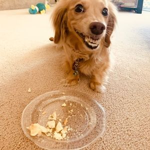 Meet your Posher, Lynn